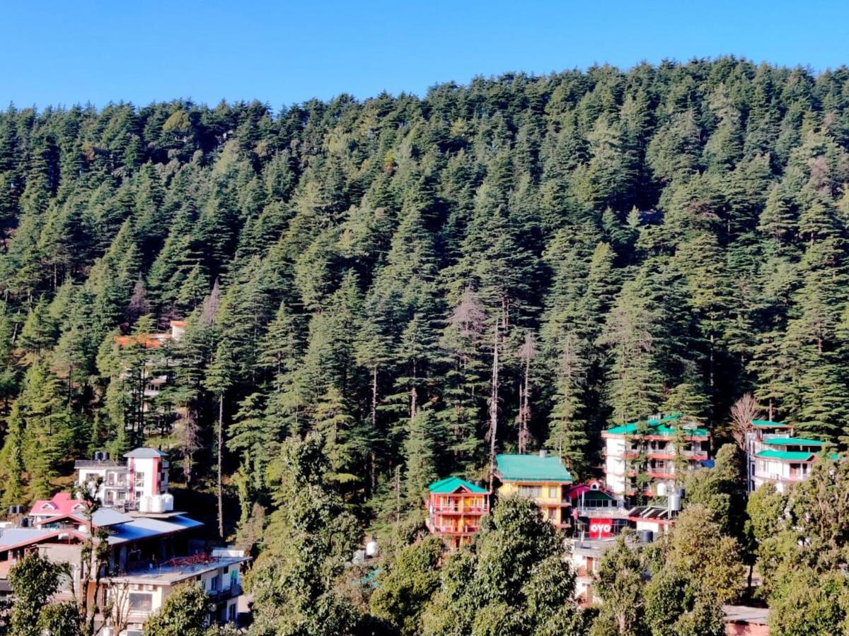 Nomadic Inn Dharamsala Exteriér fotografie
