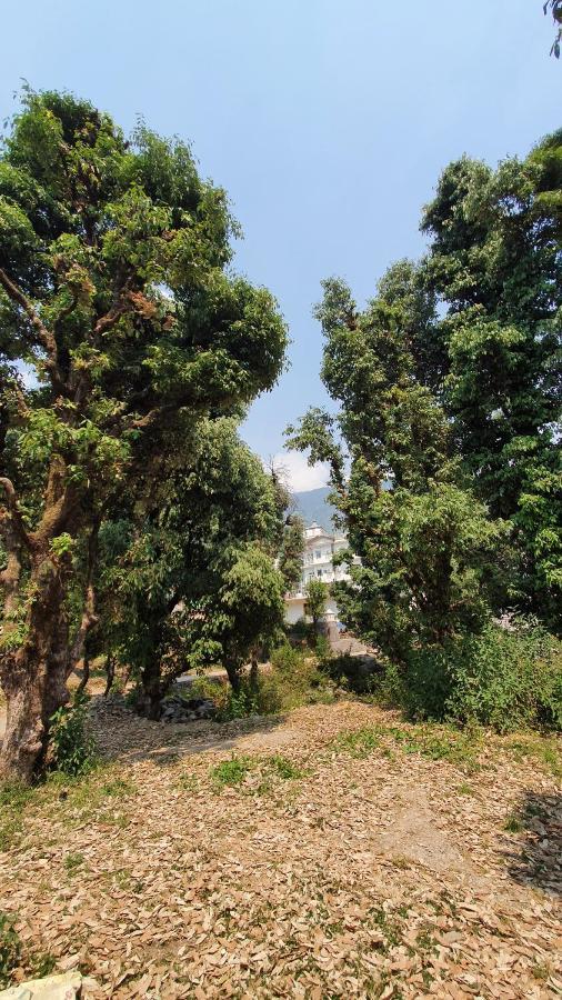 Nomadic Inn Dharamsala Exteriér fotografie